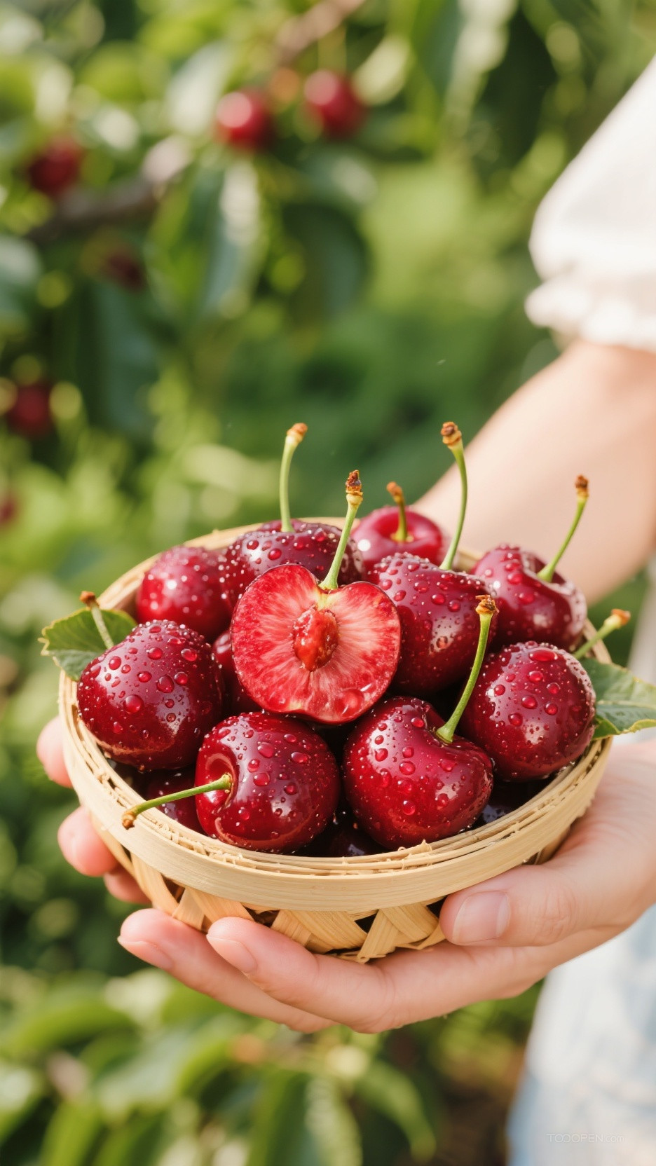 新鲜现摘车厘子樱桃创意摄影高清美图-13